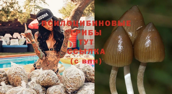 бошки Арсеньев